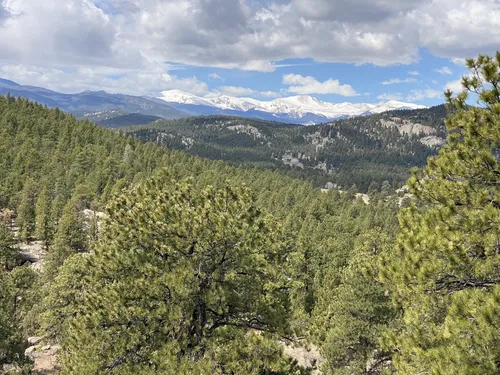 10 Best Hikes and Trails in Alderfer Three Sisters Park | AllTrails