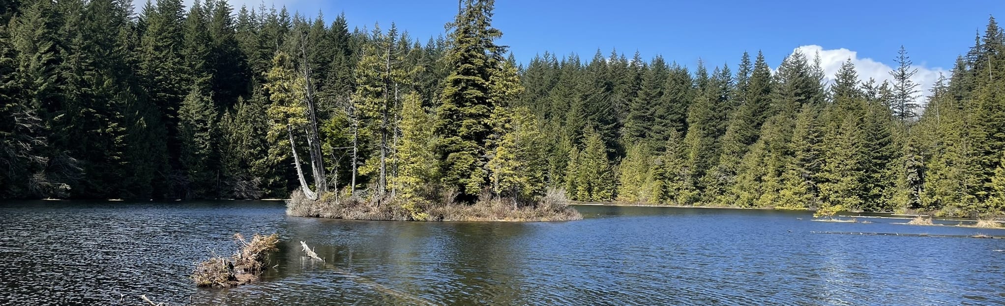 Stump Lake Loop, British Columbia, Canada 107 Reviews, Map AllTrails