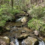 Coosa Backcountry Trail, Georgia - 683 Reviews, Map | AllTrails