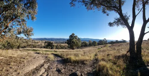 10 Best Hikes and Trails in Cooleman Ridge Nature Reserve | AllTrails