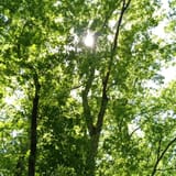 Clear Creek Bicycle Trail Alabama - EyJidWNrZXQiOiJhc3NldHMuYWxsdHJhaWxzLmNvbSIsImtleSI6InVwbG9hZHMvcGhvdG8vaW1hZ2UvNTg3NjY0NTEvMWQwOWY3NGE0NmFlNDJhMjdmNjdjM2ZlYzUwYmQxOGEuanBnIiwiZWRpdHMiOnsidG9Gb3JtYXQiOiJqcGVnIiwicmVzaXplIjp7IndpZHRoIjoxNjAsImhlaWdodCI6MTYwLCJmaXQiOiJjb3ZlciJ9LCJyb3RhdGUiOm51bGwsImpwZWciOnsidHJlbGxpc1F1YW50aXNhdGlvbiI6dHJ1ZSwib3ZlcnNob290RGVyaW5naW5nIjp0cnVlLCJvcHRpbWlzZVNjYW5zIjp0cnVlLCJxdWFudGlzYXRpb25UYWJsZSI6M319fQ==