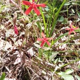 Clear Creek Bicycle Trail Alabama - EyJidWNrZXQiOiJhc3NldHMuYWxsdHJhaWxzLmNvbSIsImtleSI6InVwbG9hZHMvcGhvdG8vaW1hZ2UvNTg3NjY0NTUvNjUyZTA1YzAxY2Q1OTU4MzY1YWMxYTQxNzQ0MGE5MzUuanBnIiwiZWRpdHMiOnsidG9Gb3JtYXQiOiJqcGVnIiwicmVzaXplIjp7IndpZHRoIjoxNjAsImhlaWdodCI6MTYwLCJmaXQiOiJjb3ZlciJ9LCJyb3RhdGUiOm51bGwsImpwZWciOnsidHJlbGxpc1F1YW50aXNhdGlvbiI6dHJ1ZSwib3ZlcnNob290RGVyaW5naW5nIjp0cnVlLCJvcHRpbWlzZVNjYW5zIjp0cnVlLCJxdWFudGlzYXRpb25UYWJsZSI6M319fQ==