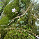 Clear Creek Bicycle Trail Alabama - EyJidWNrZXQiOiJhc3NldHMuYWxsdHJhaWxzLmNvbSIsImtleSI6InVwbG9hZHMvcGhvdG8vaW1hZ2UvNTg3NjY0NTkvMzAyN2MwZGEzMTE0ZGQ3ODBhZWY3M2E1ZjA3NDFiZWUuanBnIiwiZWRpdHMiOnsidG9Gb3JtYXQiOiJqcGVnIiwicmVzaXplIjp7IndpZHRoIjoxNjAsImhlaWdodCI6MTYwLCJmaXQiOiJjb3ZlciJ9LCJyb3RhdGUiOm51bGwsImpwZWciOnsidHJlbGxpc1F1YW50aXNhdGlvbiI6dHJ1ZSwib3ZlcnNob290RGVyaW5naW5nIjp0cnVlLCJvcHRpbWlzZVNjYW5zIjp0cnVlLCJxdWFudGlzYXRpb25UYWJsZSI6M319fQ==