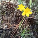 Clear Creek Bicycle Trail Alabama - EyJidWNrZXQiOiJhc3NldHMuYWxsdHJhaWxzLmNvbSIsImtleSI6InVwbG9hZHMvcGhvdG8vaW1hZ2UvNTg3NjY0NjAvZmQxZGM2MmI2MmNkYzI3YmQwNjcwN2E2NDQ5YjZlYWMuanBnIiwiZWRpdHMiOnsidG9Gb3JtYXQiOiJqcGVnIiwicmVzaXplIjp7IndpZHRoIjoxNjAsImhlaWdodCI6MTYwLCJmaXQiOiJjb3ZlciJ9LCJyb3RhdGUiOm51bGwsImpwZWciOnsidHJlbGxpc1F1YW50aXNhdGlvbiI6dHJ1ZSwib3ZlcnNob290RGVyaW5naW5nIjp0cnVlLCJvcHRpbWlzZVNjYW5zIjp0cnVlLCJxdWFudGlzYXRpb25UYWJsZSI6M319fQ==