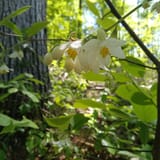 Clear Creek Bicycle Trail Alabama - EyJidWNrZXQiOiJhc3NldHMuYWxsdHJhaWxzLmNvbSIsImtleSI6InVwbG9hZHMvcGhvdG8vaW1hZ2UvNTg3NjY0NjMvMjFjYTY3OGI3MjE4Y2RiNDJiMWVhZDY0YmJlZGU4YzkuanBnIiwiZWRpdHMiOnsidG9Gb3JtYXQiOiJqcGVnIiwicmVzaXplIjp7IndpZHRoIjoxNjAsImhlaWdodCI6MTYwLCJmaXQiOiJjb3ZlciJ9LCJyb3RhdGUiOm51bGwsImpwZWciOnsidHJlbGxpc1F1YW50aXNhdGlvbiI6dHJ1ZSwib3ZlcnNob290RGVyaW5naW5nIjp0cnVlLCJvcHRpbWlzZVNjYW5zIjp0cnVlLCJxdWFudGlzYXRpb25UYWJsZSI6M319fQ==