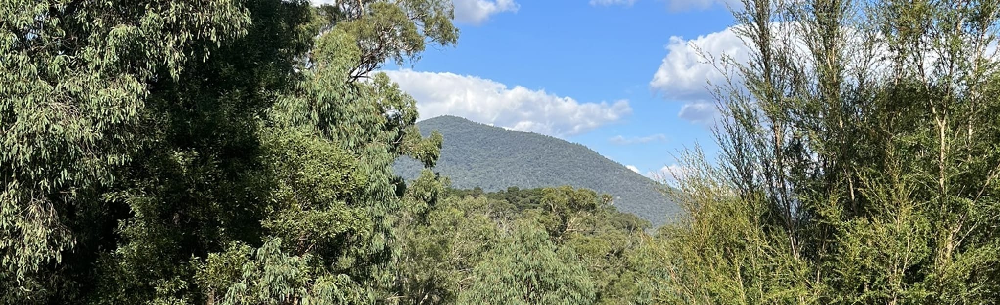 Maroondah Dam to Mount Tanglefoot 942 foto Victoria, Australia