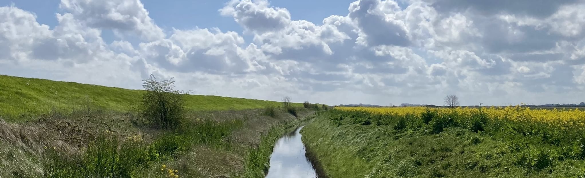 Tetney Lock and Humberston Circular 16 Reviews, 238 Photos, Map