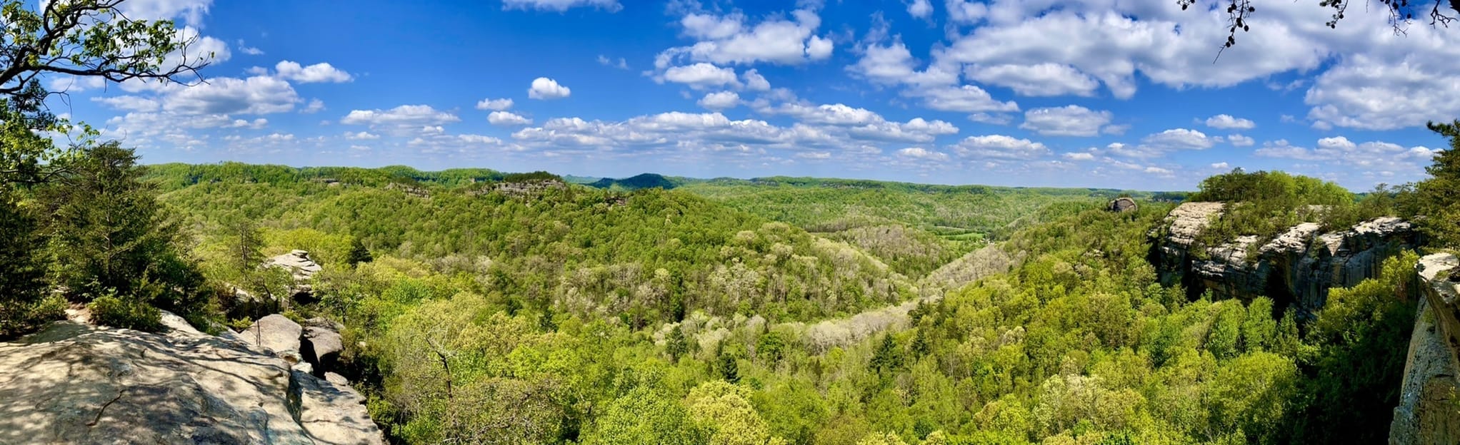 Courthouse Rock Loop: 838 Reviews, Map - Kentucky | AllTrails