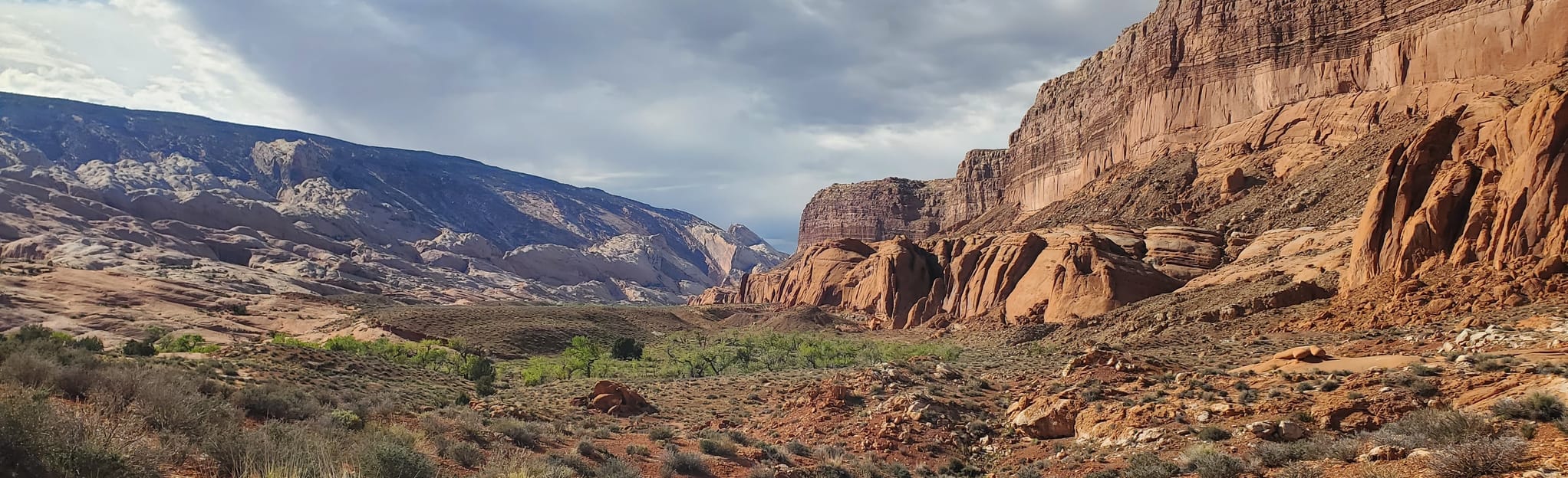 Halls Creek Canyon Trail 100 Reviews, Map Utah AllTrails