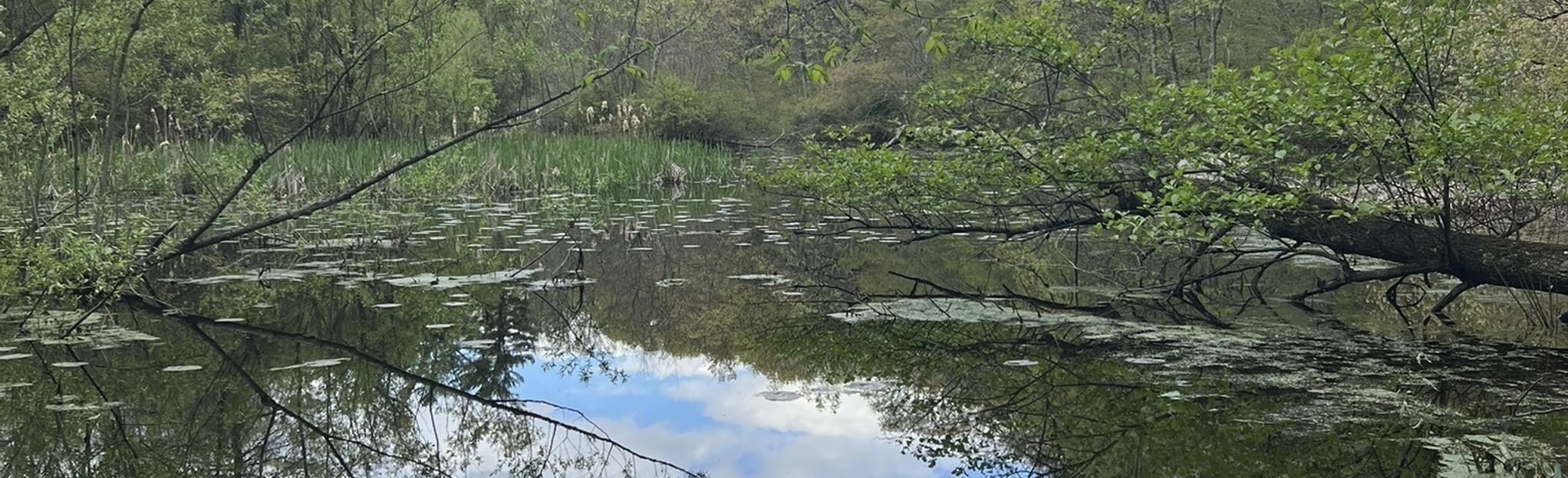 new jersey state botanical gardens at skylands