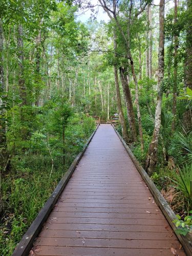 Best Hikes and Trails in Chassahowitzka National Wildlife Refuge ...