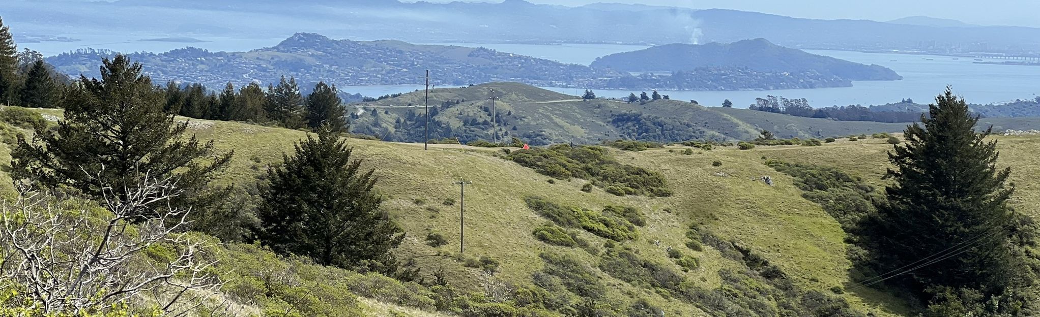 Dipsea Trail from Mill Valley Trailhead 1613 Reviews, Map California