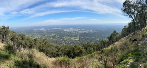 10 Best Hikes and Trails in Dandenong Ranges National Park AllTrails