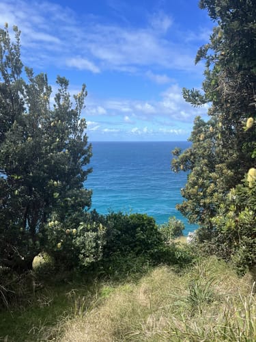 Best Hikes and Trails in Byron Bay | AllTrails