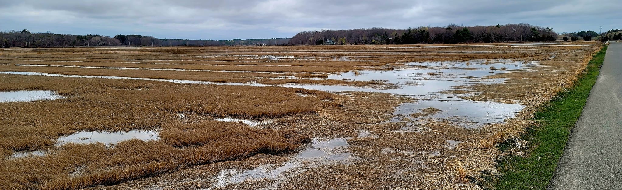 Old Town Hill and Newman Road Marshes 195 Reviews, Map Massachusetts