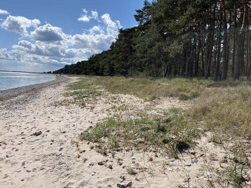 Grabow - Palmer Ort - Konower Ort