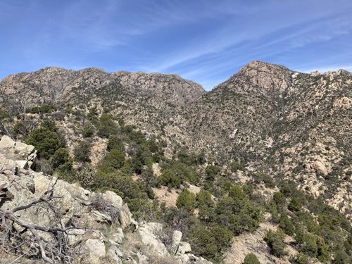 Best Hikes And Trails In Sierra Ladrones Wilderness Study Area 