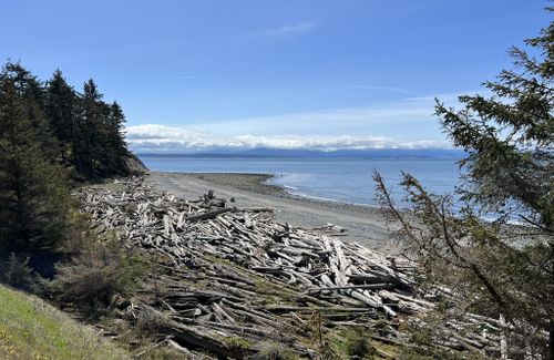 2023 Best Beach Trails in Coupeville | AllTrails