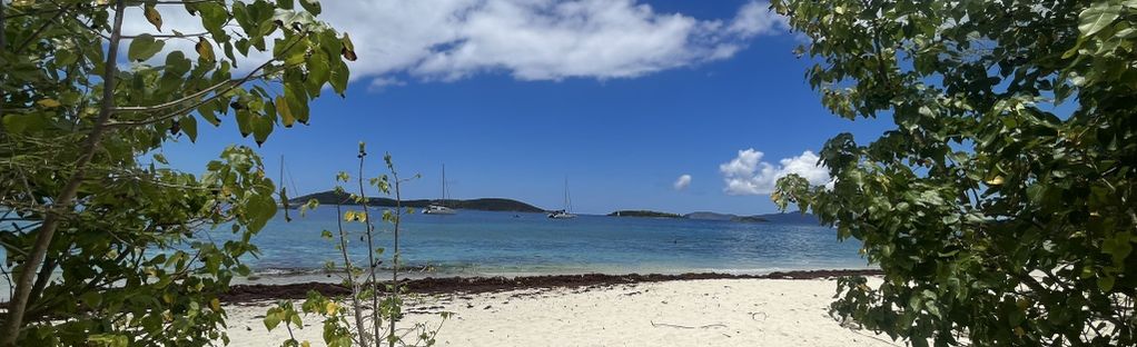 Senaat Korea auteur Salomon Beach via Caneel Hill Spur: 105 Reviews, Map - Saint John, US  Virgin Islands | AllTrails