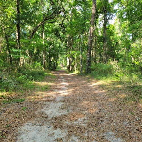 Best Hikes and Trails in Lafayette Heritage Trail Park AllTrails