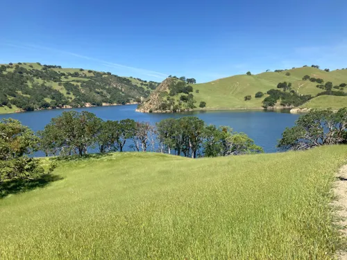 are dogs allowed at del valle regional park