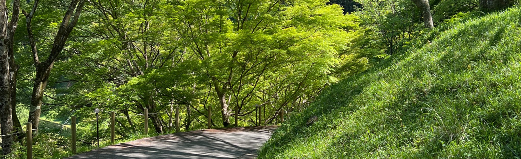 Mount Yoshino Senbonguchi Station Loop, Nara, Japan 4 Reviews, Map