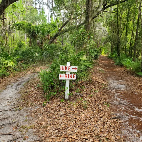 Best Hikes and Trails in Trout Crk Wilderness County Park AllTrails