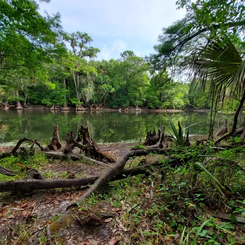 Best Hikes and Trails in Trout Crk Wilderness County Park AllTrails