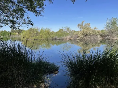 Best Hikes and Trails in Gilbert Riparian Preserve | AllTrails