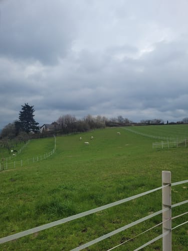 Rund um Burg Lichtenberg