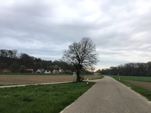 An der Donau entlang ab Neuburg