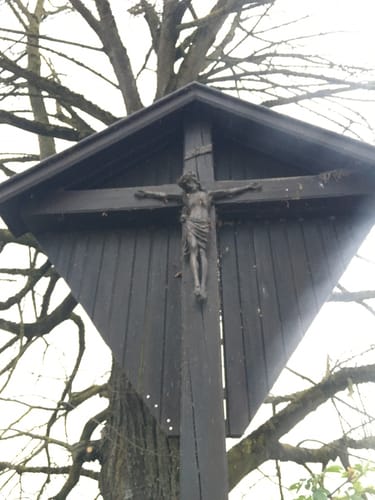 An der Donau entlang ab Neuburg