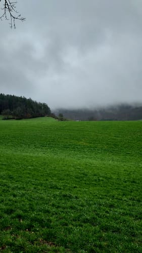 Ostweg, Etappe 10: Stühlingen - Schaffhausen