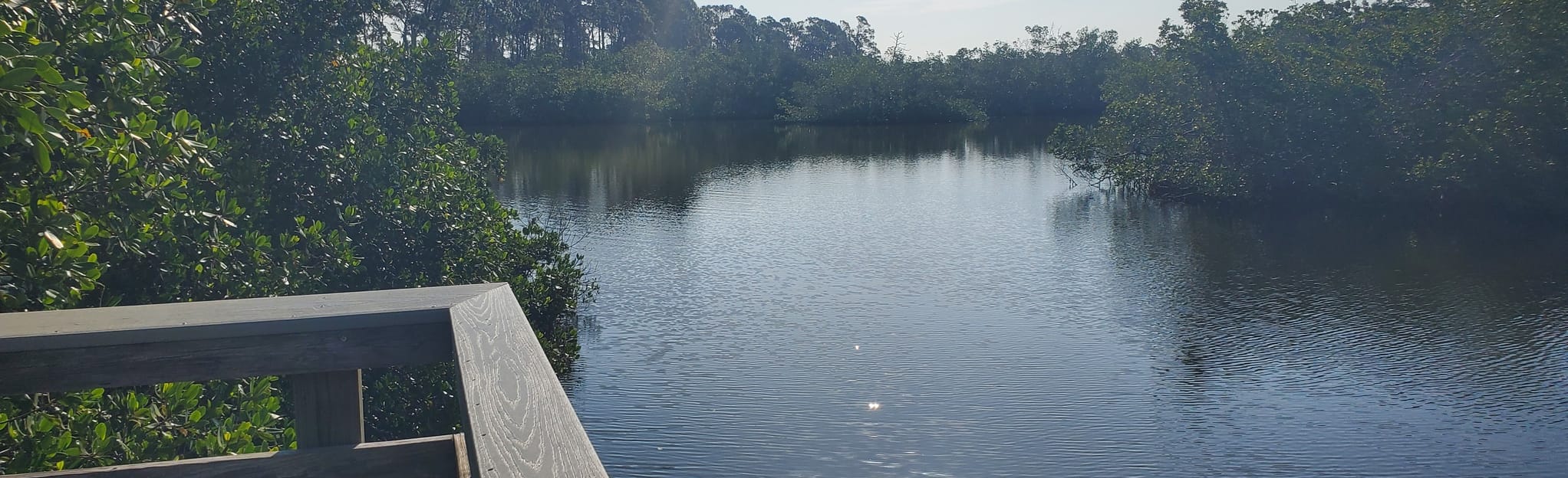 Oyster Creek Red Loop 136 Reviews, Map Florida AllTrails