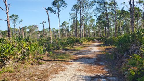 Best Hikes and Trails in Ann and Chuck Dever Regional Park | AllTrails