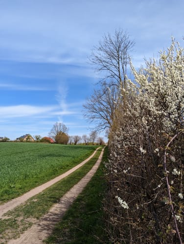 Rund um Mönkeberg