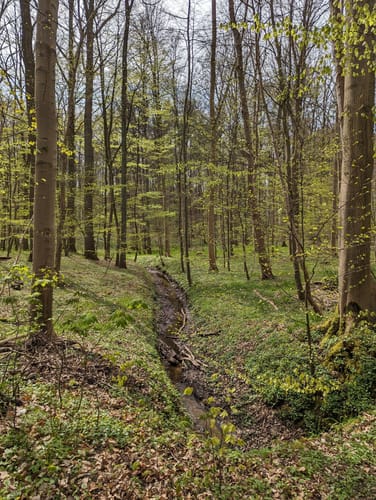Rund um Mönkeberg
