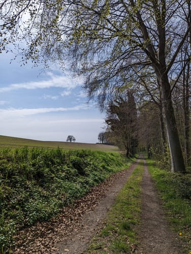 Rund um Mönkeberg
