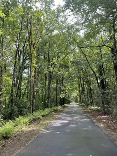 Beacon Hills Walking And Running Trail - Jacksonville, Florida, USA