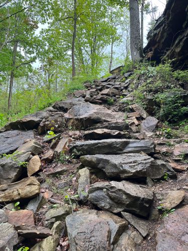 Best Hikes and Trails in Justin P. Wilson Cumberland Trail State Park ...