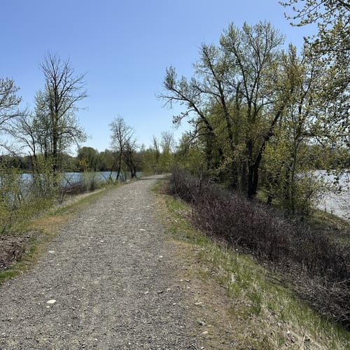 Best Hikes and Trails in Irene Rinehart Riverfront Park AllTrails