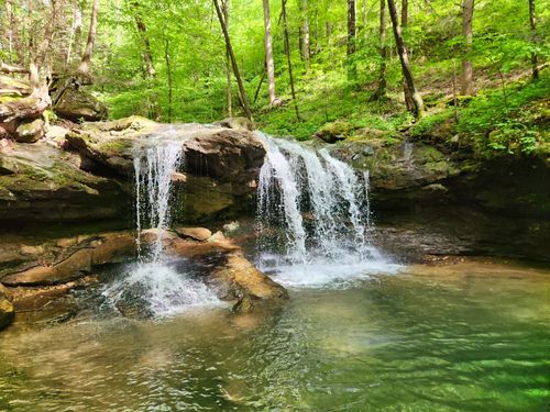 2023 Best Waterfall Trails in Frozen Head State Park  AllTrails