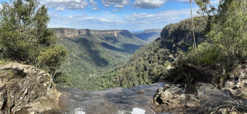 Beste wandelingen en routes in Meryla State Forest | AllTrails