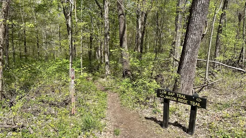 Best Hikes and Trails in Morgan Monroe State Forest | AllTrails