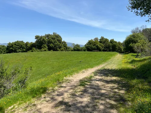 10 Best Trails and Hikes in San Ramon | AllTrails