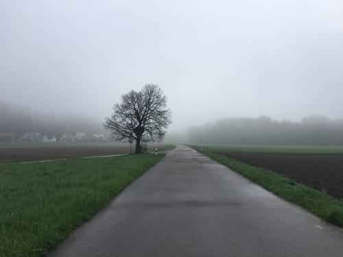 Zubringer Urdonautalsteig: Neuburg an der Donau