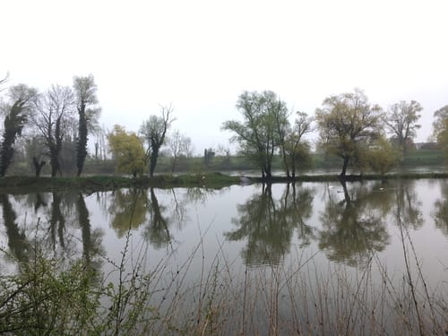 Zubringer Urdonautalsteig: Neuburg an der Donau