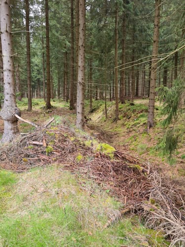 Geyerscher Wald - Hermannsdorfer Wiesen