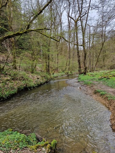 Schieferregion Kaulenbachtal