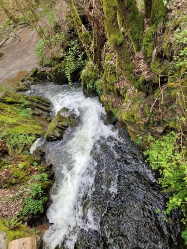 Schieferregion Kaulenbachtal